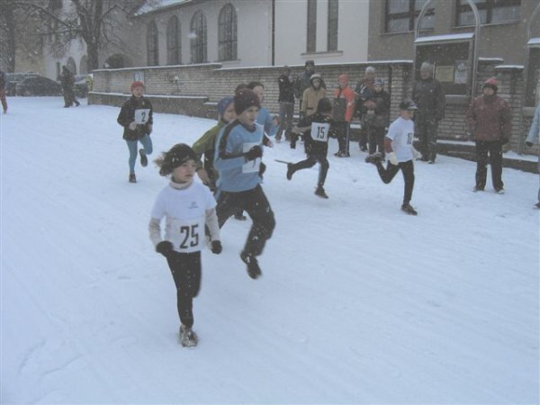 Novoron ptka 4.1.2008