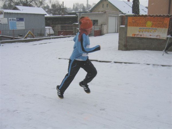 Novoron ptka 4.1.2008
