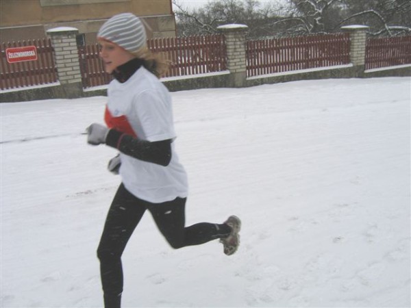 Novoron ptka 4.1.2008