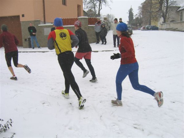 Novoron ptka 4.1.2008